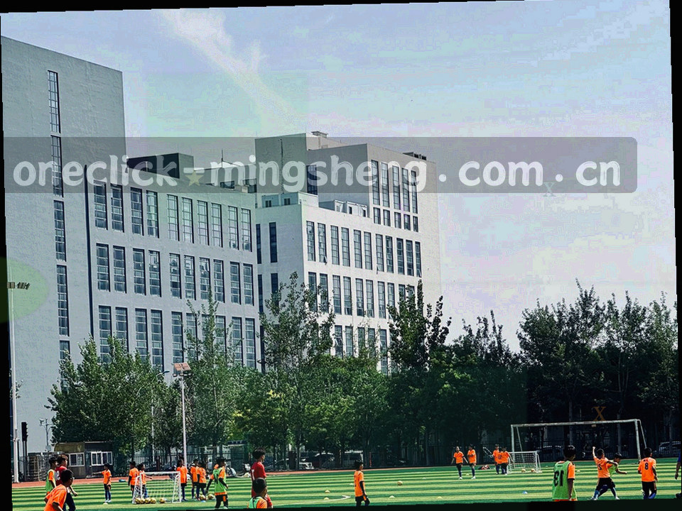 球场边线向远处延伸，与天山轮廓交叠的看台视野